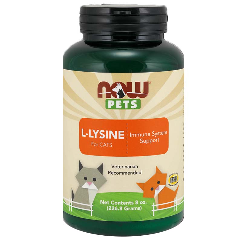 나우 Now, 고양이 면역 보조 엘라이신, 8 oz (226.8 g)